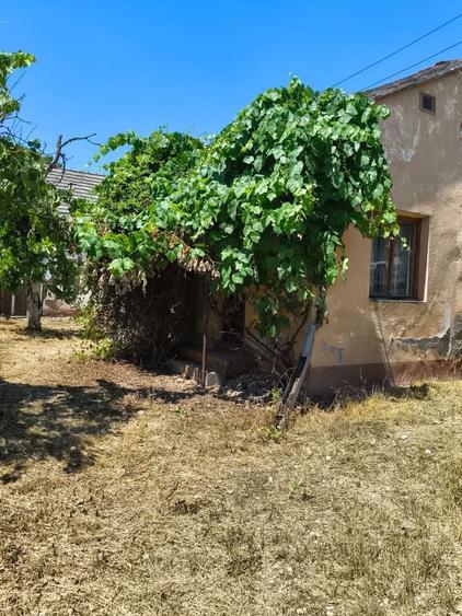 Casă cu 3 camere în Chesinț