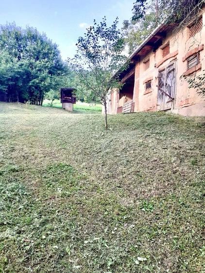 Casă cu 3 camere cu Teren 3800 Mp în Dobrin