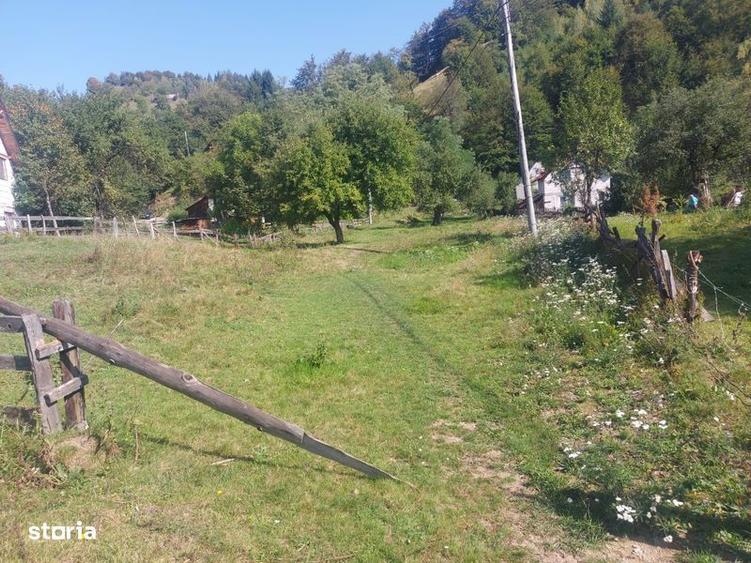 Teren de 1784 mp, în Avram Iancu