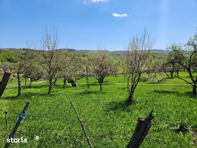 Teren de 16000 mp, în Posești