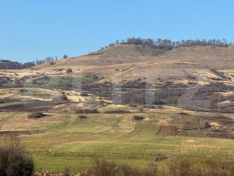 Teren agricol extravilan de 13374 mp, în Călan
