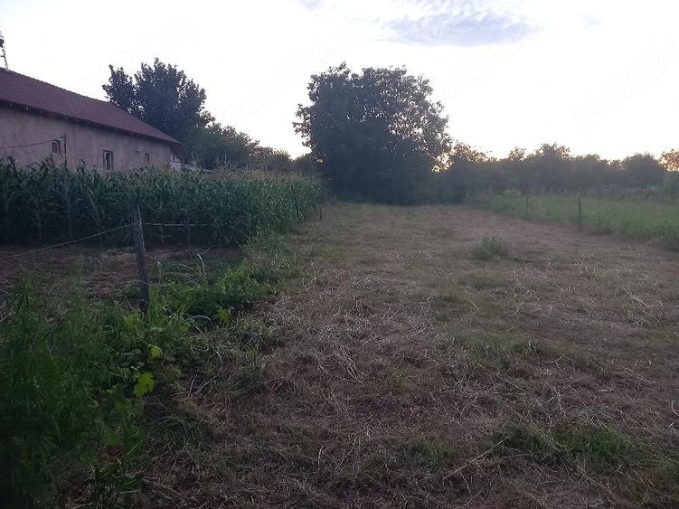Teren de 400 mp, în Central