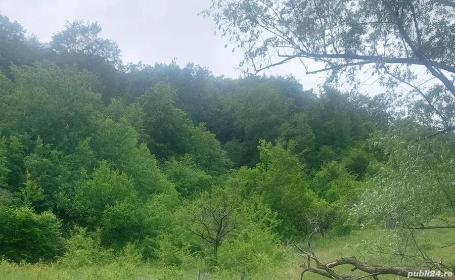 Teren de 2 mp, în Mânzălești