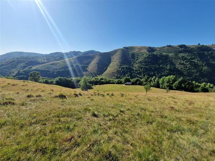 Teren Construcții intravilan de 31258 mp, în Remeți