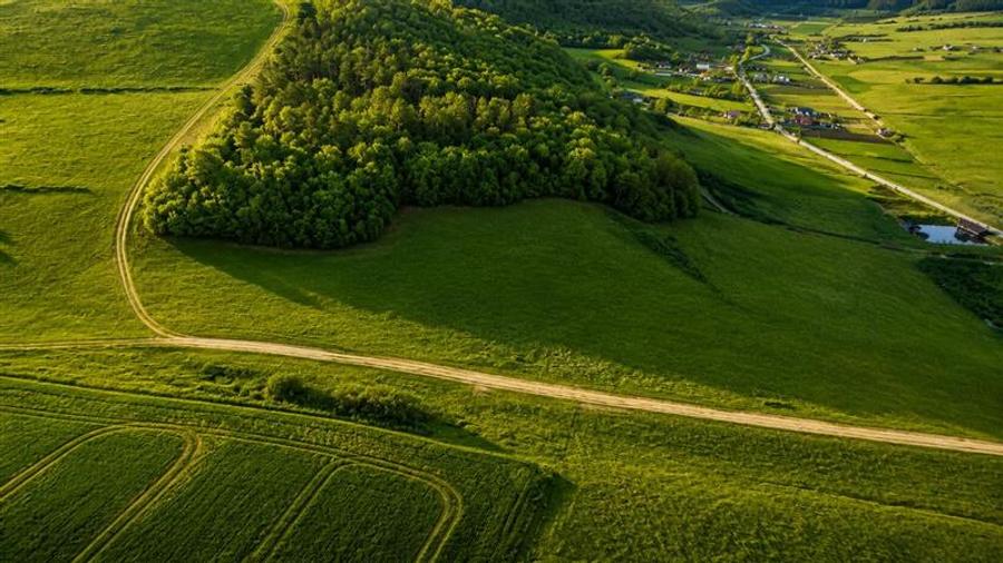 Teren extravilan de 6000 mp, în Sângeorgiu de Mureș