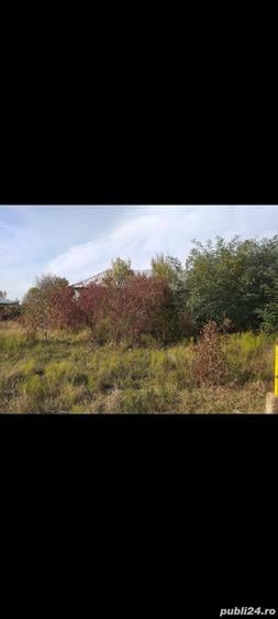 Teren de 1200 mp, în Finta