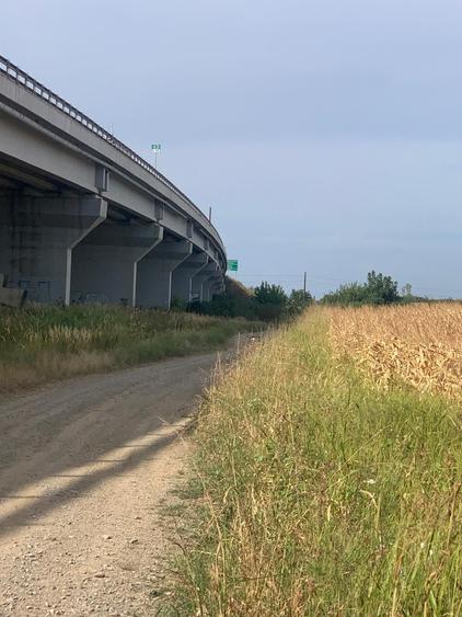 Teren Construcții intravilan de 7500 mp, în Moara Vlăsiei