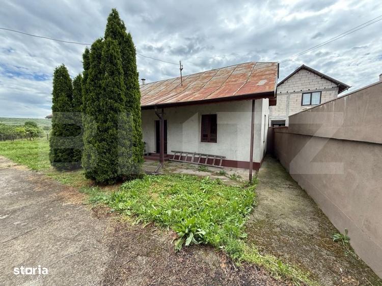 Casă cu 4 camere cu Teren 3082 Mp în Coțofenii din Față