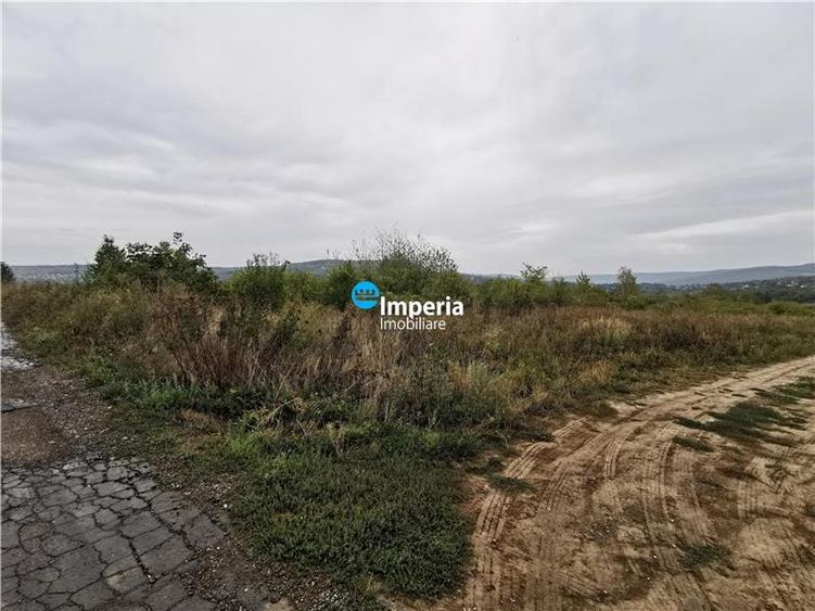 Teren intravilan de vanzare Visan 6380 mp - 3