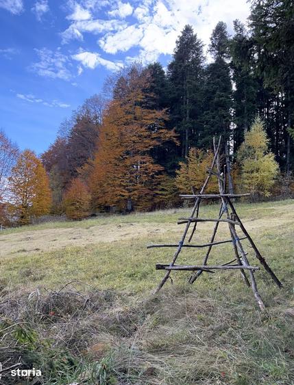 Teren de 5500 mp, în Central
