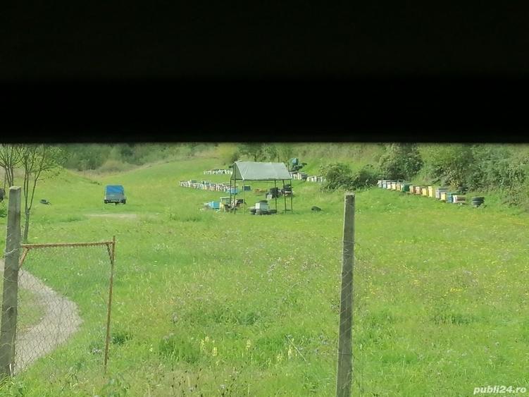 Teren de 30000 mp, în Central