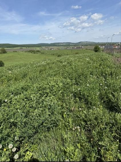 Teren de 2200 mp, în Adâncata