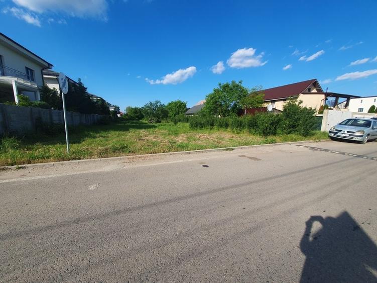 Teren de 2019 mp, în Dragomirești-Deal