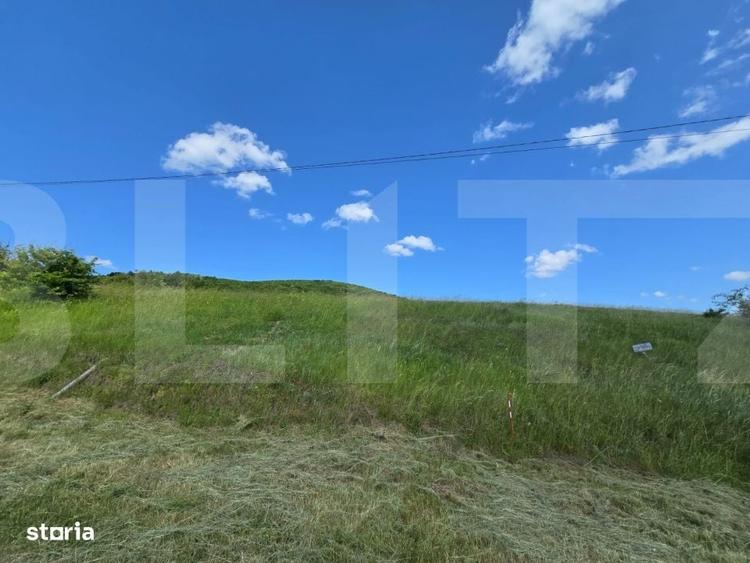Teren de investitie in localitatea Ciurila - 2