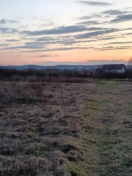 Teren de 10000 mp, în Merișor