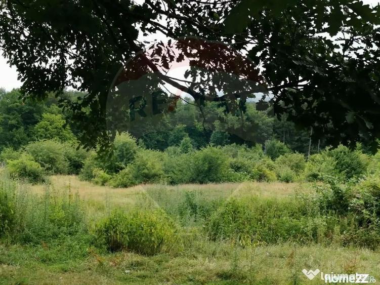 Teren în Dumbrăvița