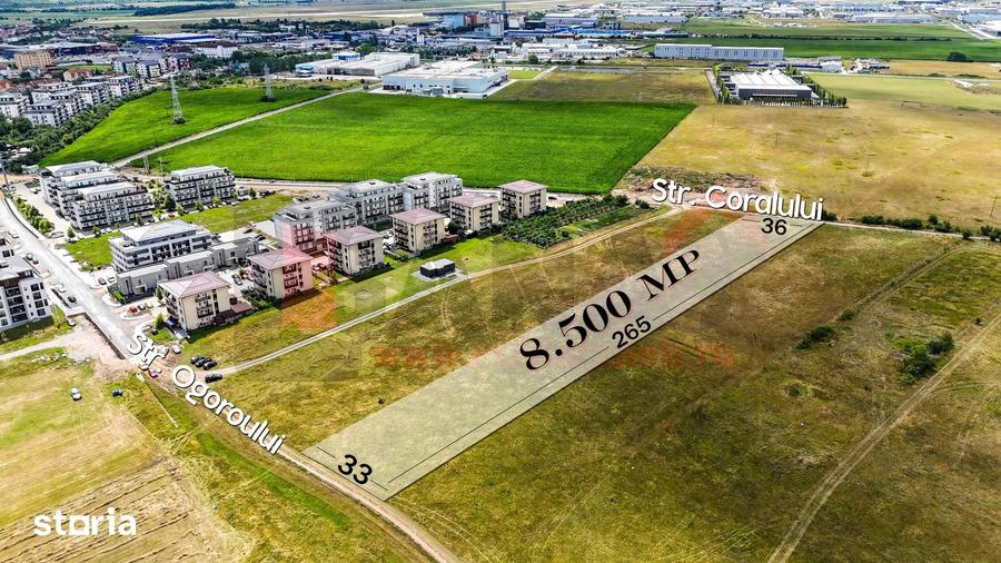 Teren de 8500 mp, în Turnișor