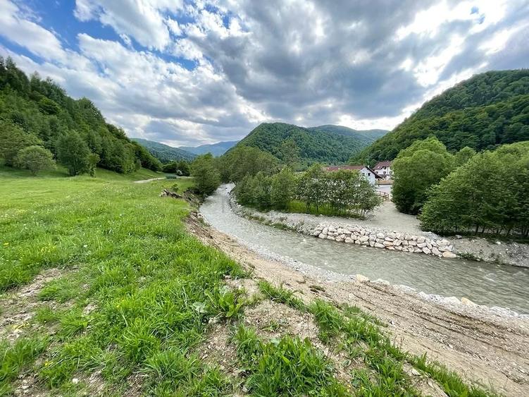 Teren de 12150 mp, în Plaiul Foii