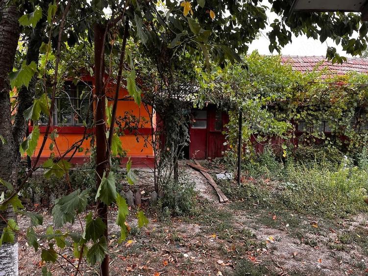Casă cu 3 camere cu Teren 2269 Mp în Moldoveni