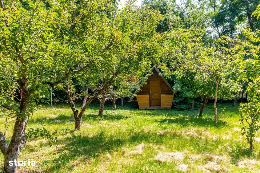 Casă cu Teren 3425 Mp în Gura Vitioarei