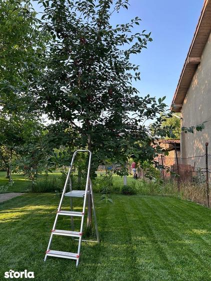 Proprietar vand casa locuibila cu teren 883 mp, front 17,5 ml, Mehala - 6