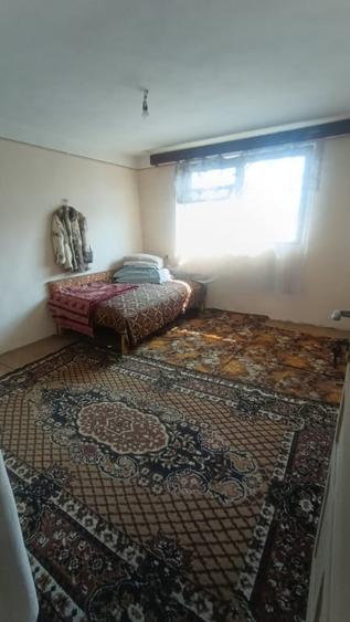Casa P+1, 250 mp utili, 500 mp teren, zona Brestei - 1