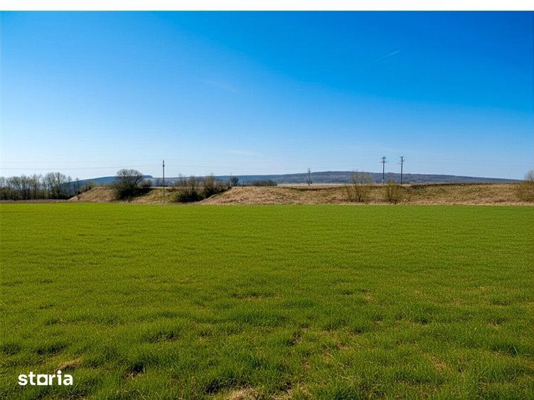 Teren de 12400 mp, în Pătrăuți