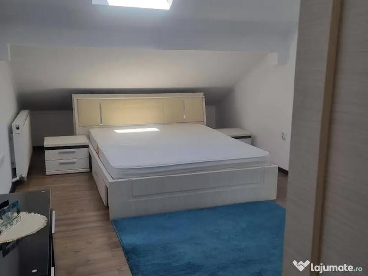 Apartament 4 camere in vila Trivale - 7