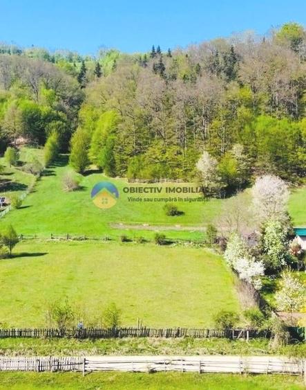 TEREN intravilan 2000 mp ,  comuna GÂRCINA- sat CUEJDIU - 4