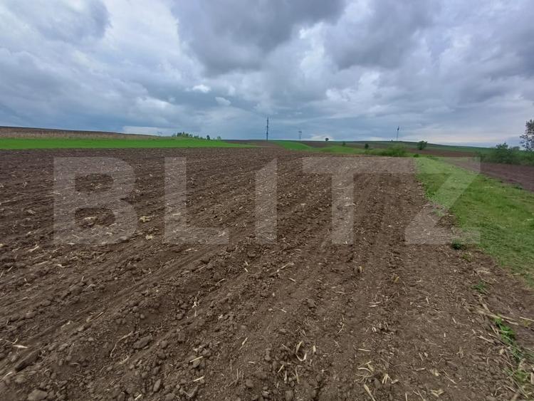 Teren agricol extravilan de 5000 mp, în Periferie