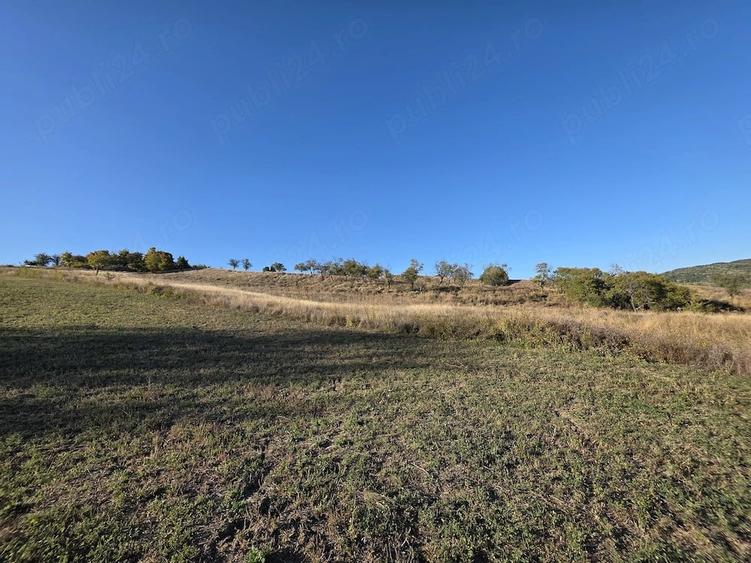 Teren de 9700 mp, în Dănulești