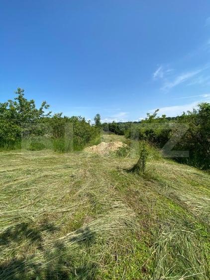Teren Construcții intravilan de 3000 mp, în Sud-Vest