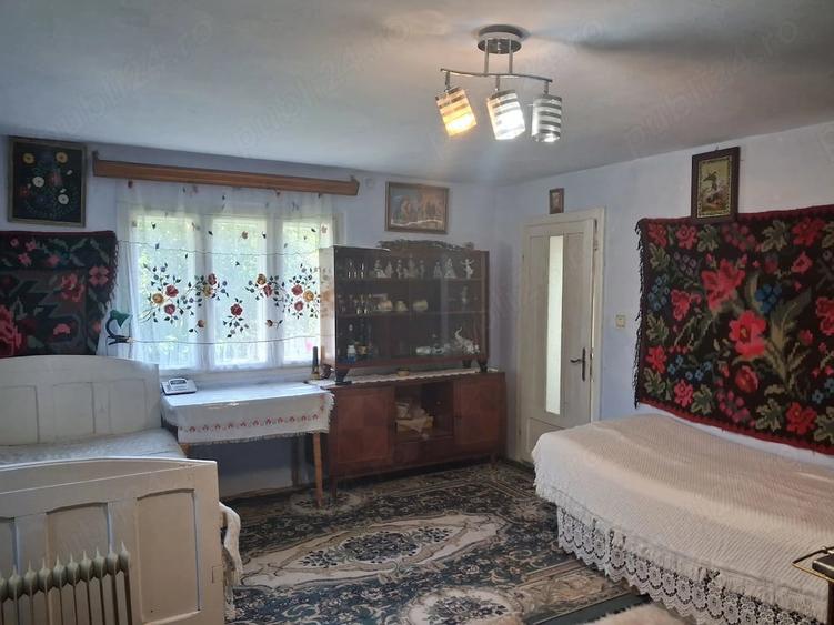 Casă cu Teren 6000 Mp în Mălini