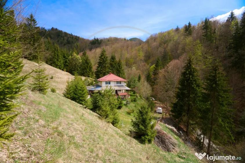 Casă cu 5 camere cu Teren 6412 Mp în Dâmbovicioara