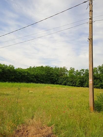 Teren de 1000 mp, în Valea Stânii