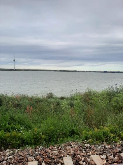 eforie sud- flamingo - 1