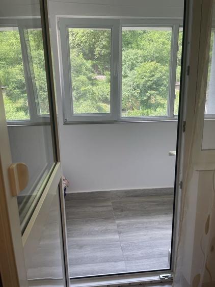 Apartament cu 2 camere decomandat în Pecinișca