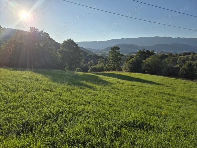 Teren de 6300 mp, în Fundata