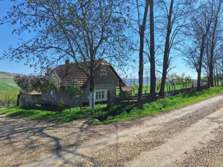 Casă cu 2 camere în Vale