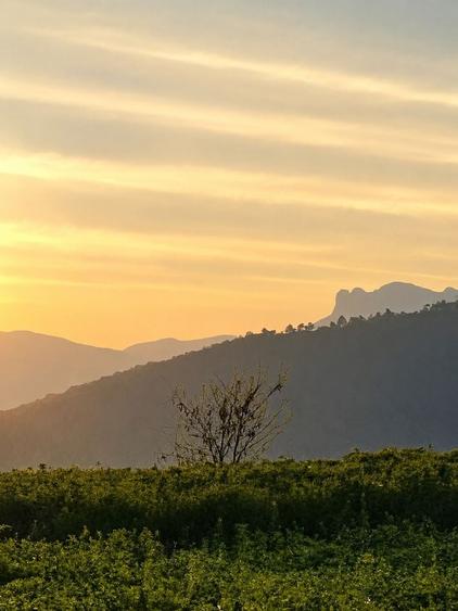 Casă cu 3 camere în Turturești