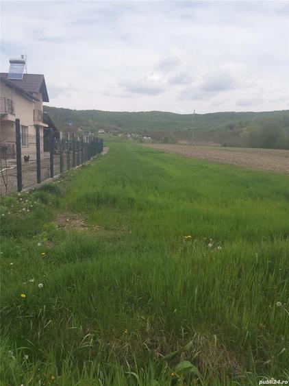 Teren de 2450 mp, în Băiculești