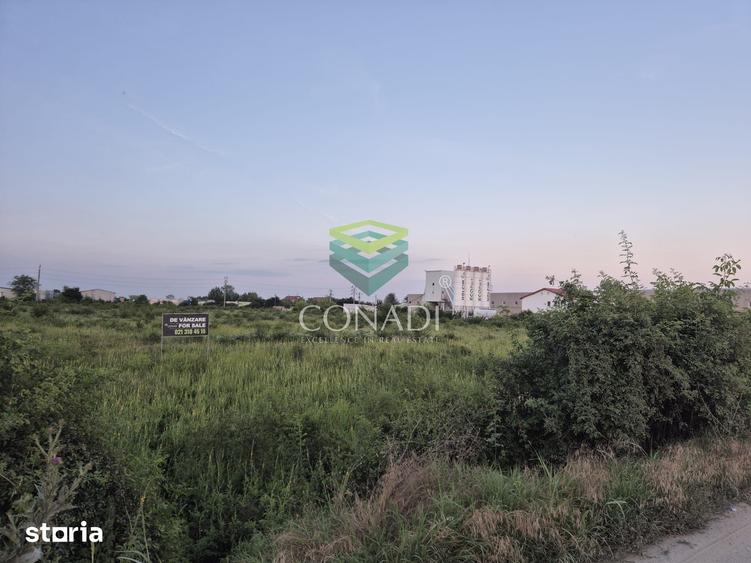 Teren de 23943 mp, în Clinceni