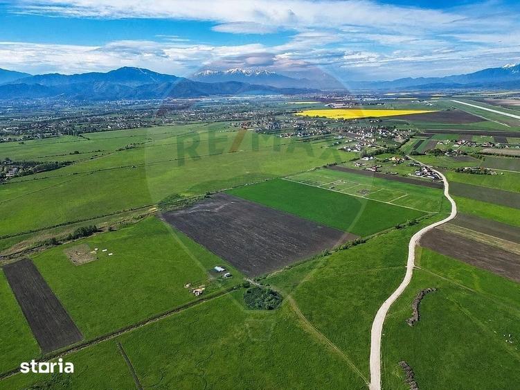 Teren de 8600 mp, în Stupini