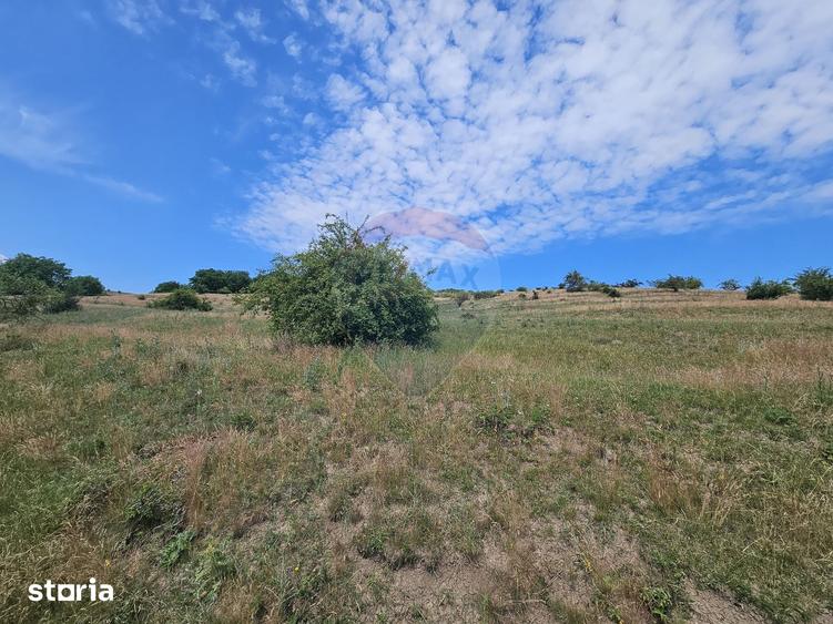 Teren de 11600 mp, în Apahida
