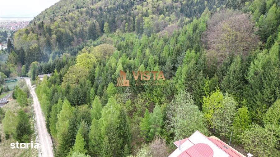Teren de 6500 mp, în Bunloc