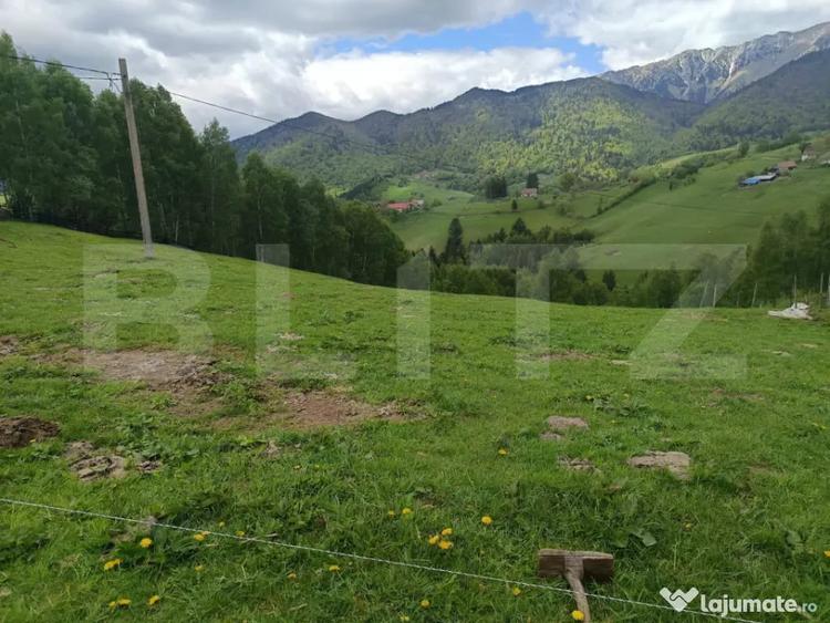 Casă cu 1 camere cu Teren 1093 Mp în Peștera