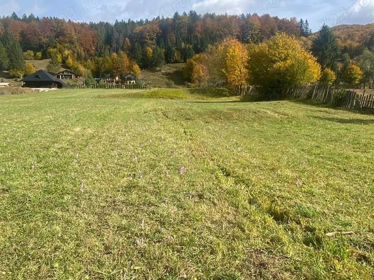 Teren Construcții intravilan de 4100 mp, în Periferie