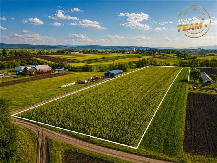 Teren intravilan de 5800 mp, în Dobolii de Jos