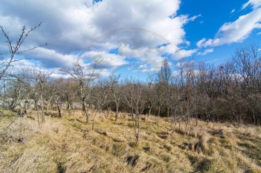 Casă individuală cu 3 camere cu Teren 4145 Mp în Vedea