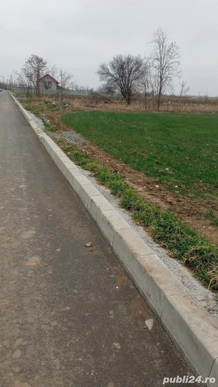 Teren de 3300 mp, în Ograda